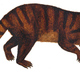 Illustration for article titled The ‘Prehistoric Beaver’ That Helped Mammals Inherit Earth